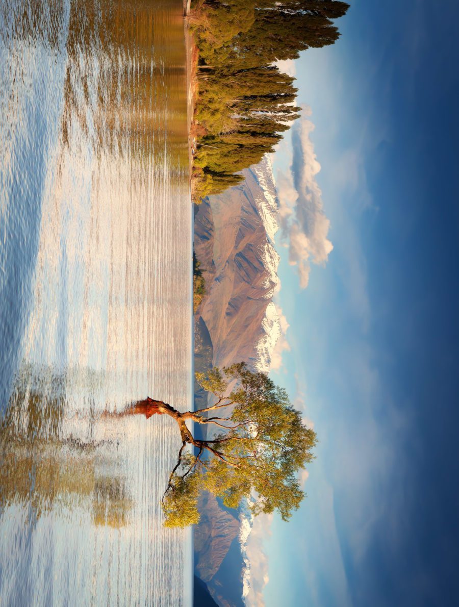 wanaka-lake-new-zealand-puzzle